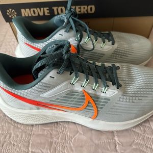 Mens Nike Pegasus 39